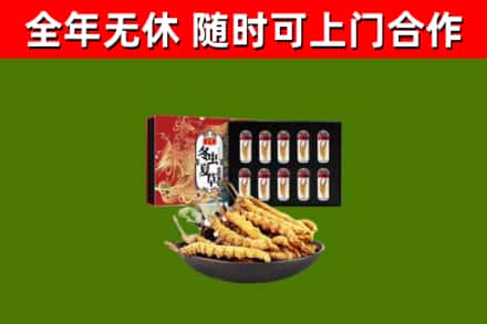 沧州烟酒回收冬虫夏草礼盒.jpg